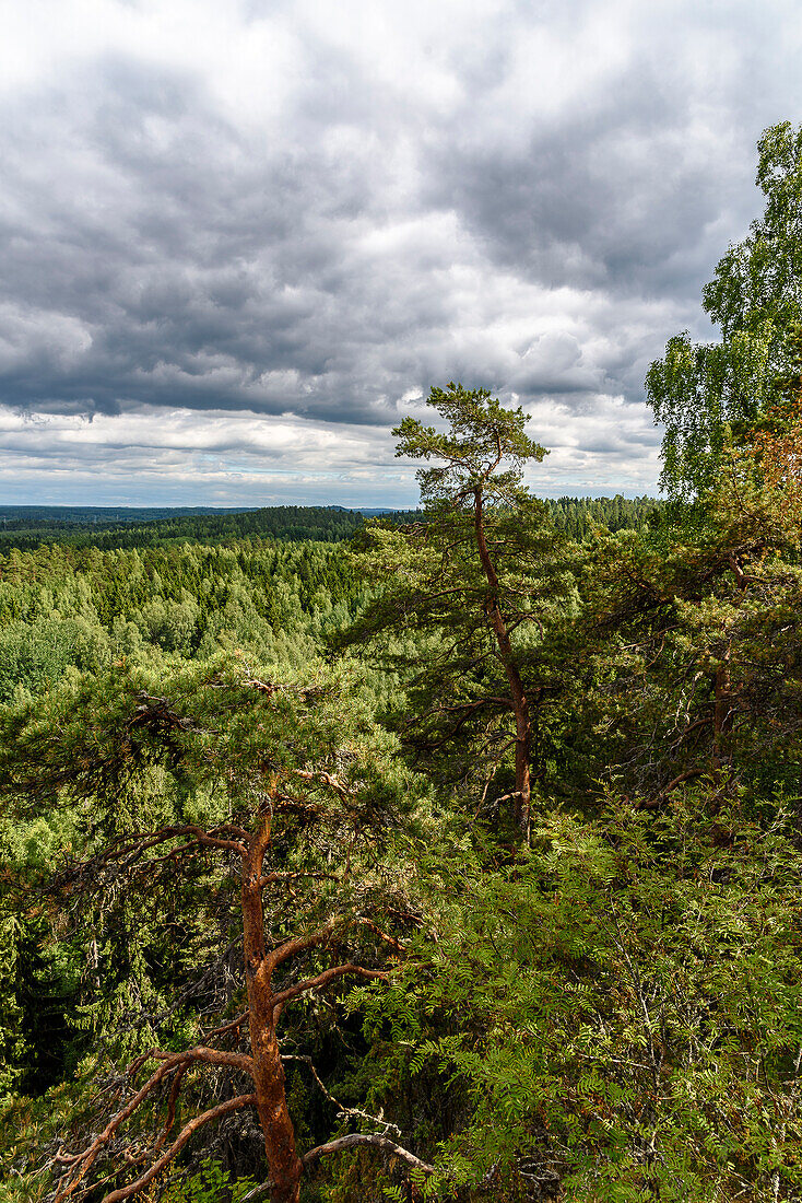 View from the observation tower in the Aulanko Nature Park, Hämeenlinna, Finland