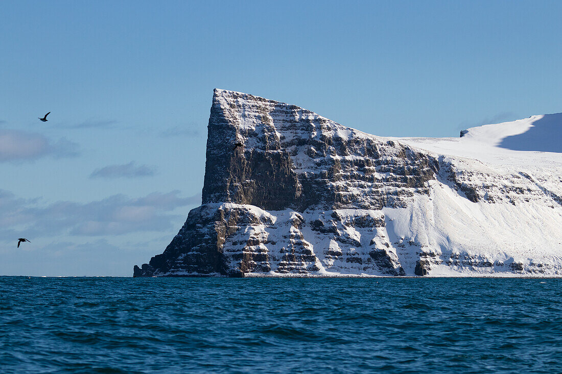 Cliffs on the north coast, Horn von Hornstrandir Nature Reserve, Hornvik Bay, Iceland, Europe