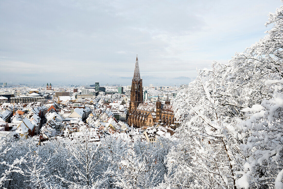 Winterstimmung mit Schnee, Freiburger Münster, Freiburg im Breisgau, Schwarzwald, Baden-Württemberg, Deutschland