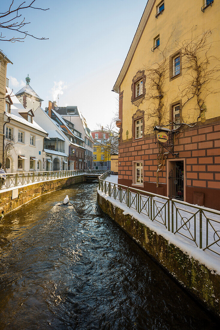 Winter mood with snow, Altsdtadt, Freiburg im Breisgau, Black Forest, Baden-Württemberg, Germany