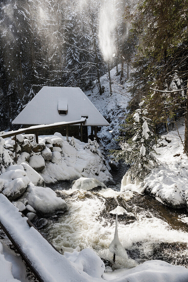 Ravennaschlucht mit Schnee und Eis, Winter, bei Hinterzarten, Schwarzwald, Baden-Württemberg, Deutschland
