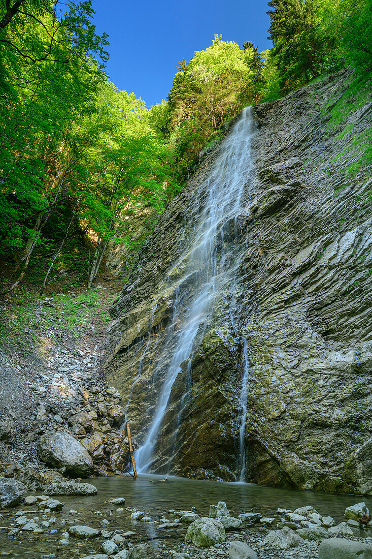 Waterfall flows over rock face in the forest, Hochfelln, Chiemgau Alps, Salzalpensteig, Upper Bavaria, Bavaria, Germany