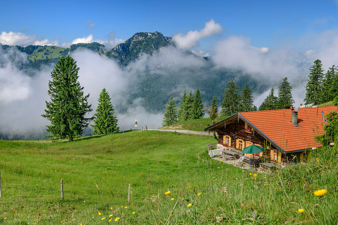 Alm with Breitenstein, Farrenpoint, Mangfall Mountains, Bavarian Alps, Upper Bavaria, Bavaria, Germany