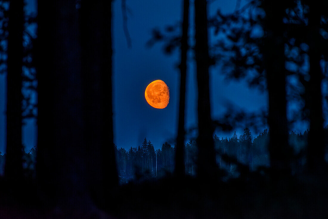 Moon at night on Lake Pielinen, Finland