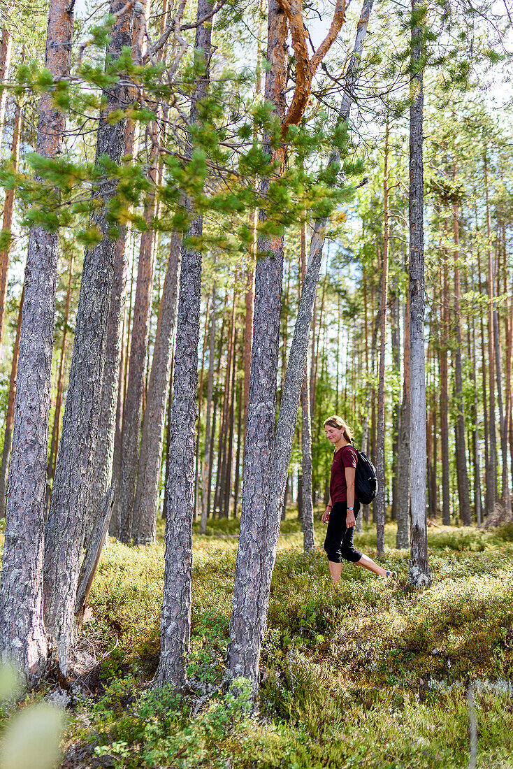 Woman hiking in Patvinsuo National Park, Finland
