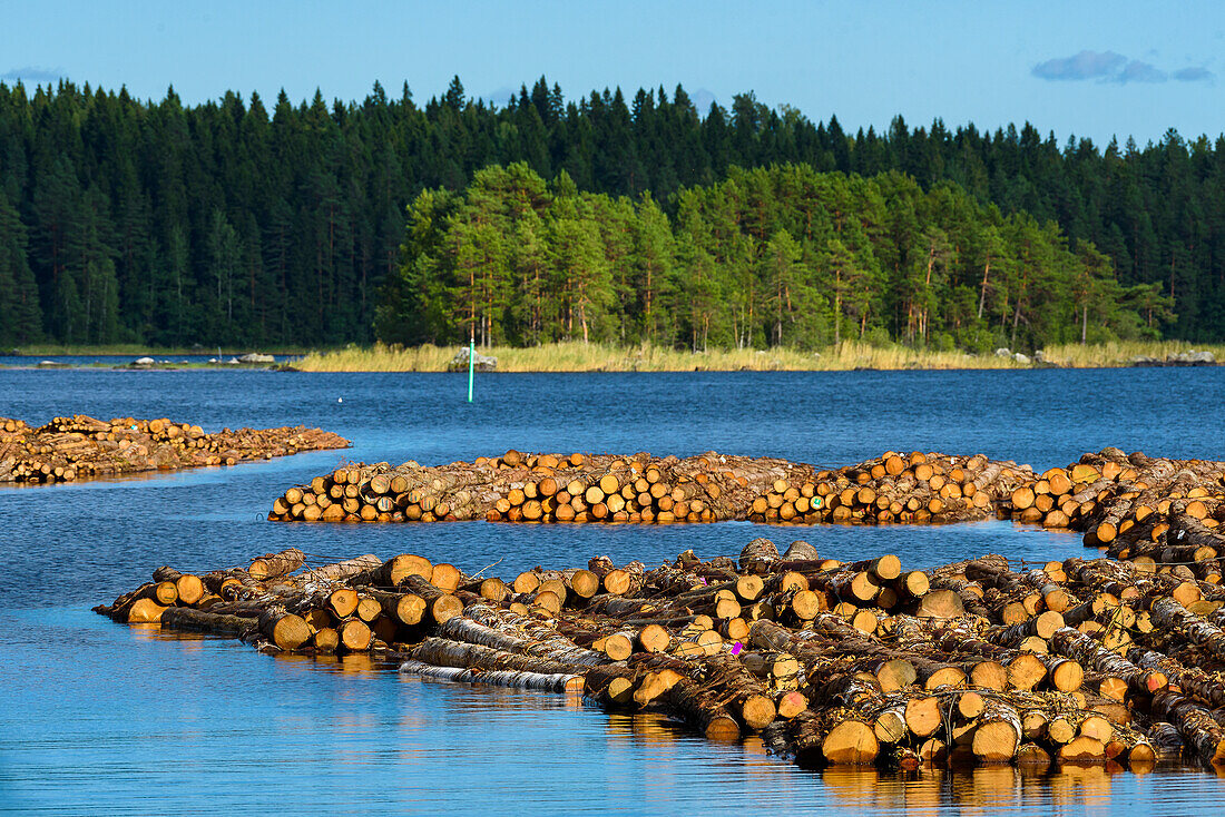 Schwimmende Baumstämme, Flößerei auf der finnischen Seenplatte, Finnland