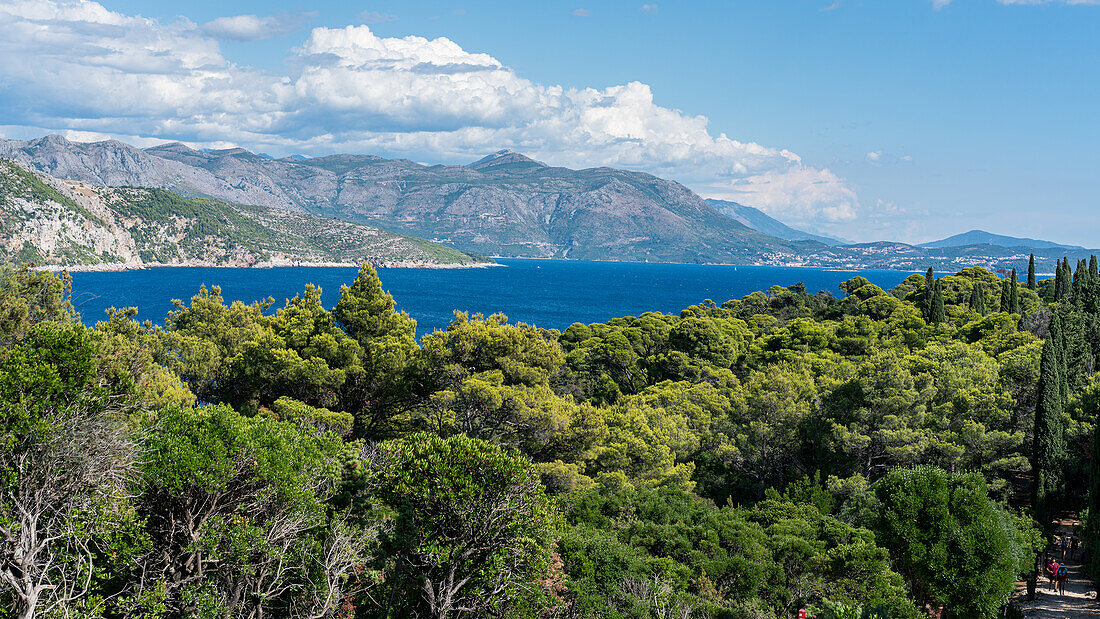 Blick auf die Insel Lokrum und das Meer vor Dubrovnik, Dalmatien, Kroatien.