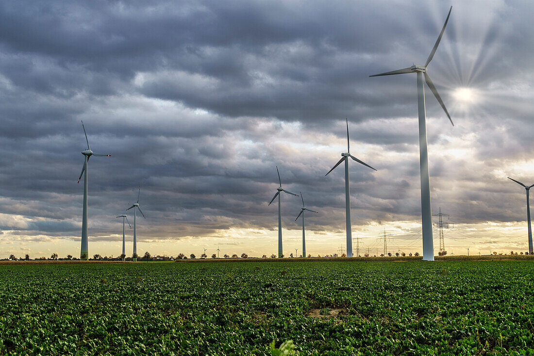 Wind turbines in the Solar Valley, near Bitterfeld-Wolfen in Saxony-Anhalt, Germany