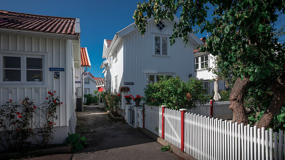 Gasse zwischen weißen schwedischen Häusern im Dorf Klädesholmen auf der Schäreninsel Tjörn im Westen von Schweden\n