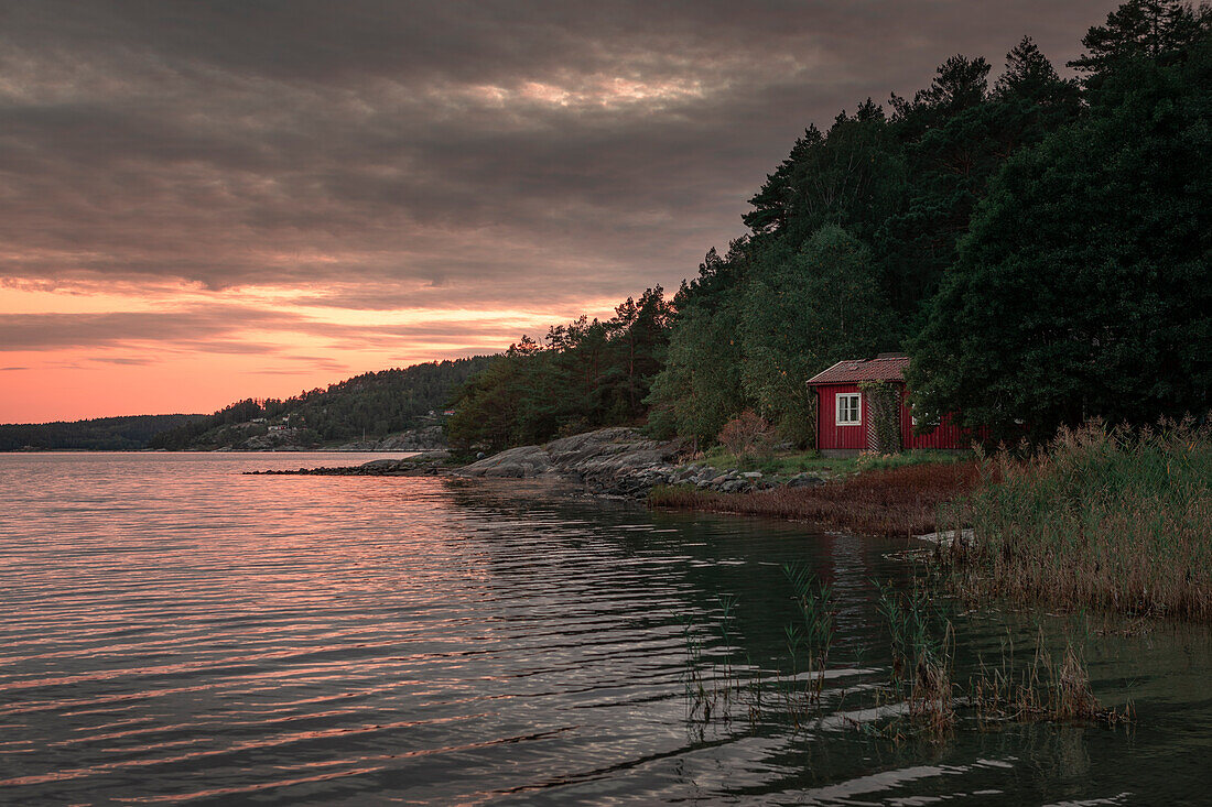 Rote Hütte am See mit Schilf auf Schäreninsel Orust an der Westküste von Schweden im Sonnenuntergang\n