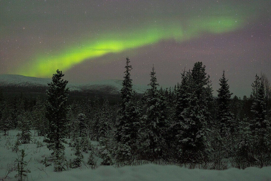 Northern lights, northern lights, Pallastunturi, Muonio, Lapland, Finland