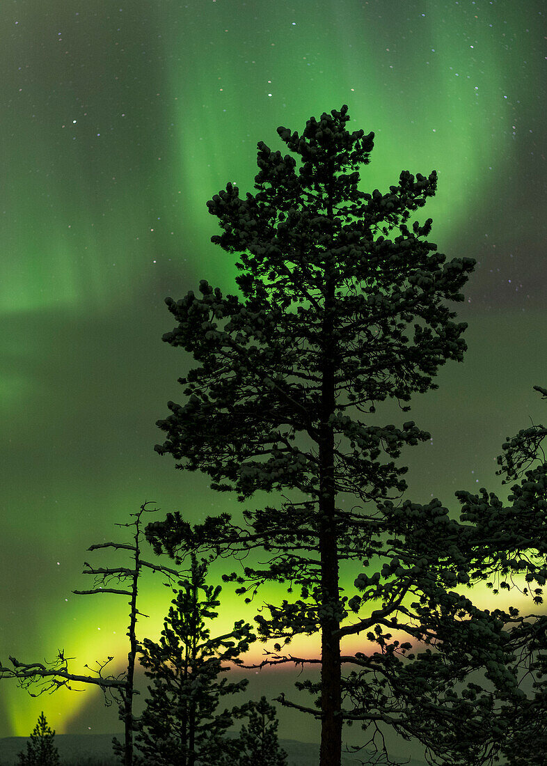 Polarlichter, Nordlichter, Muonio, Lappland, Finnland