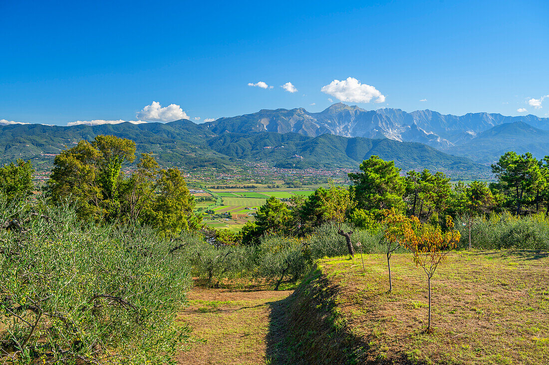 Blick von Montemarcello auf die Apuanischen Alpen mit den Carrara Steinbrüchen,  Provinz La Spezia, Ligurien, Italien