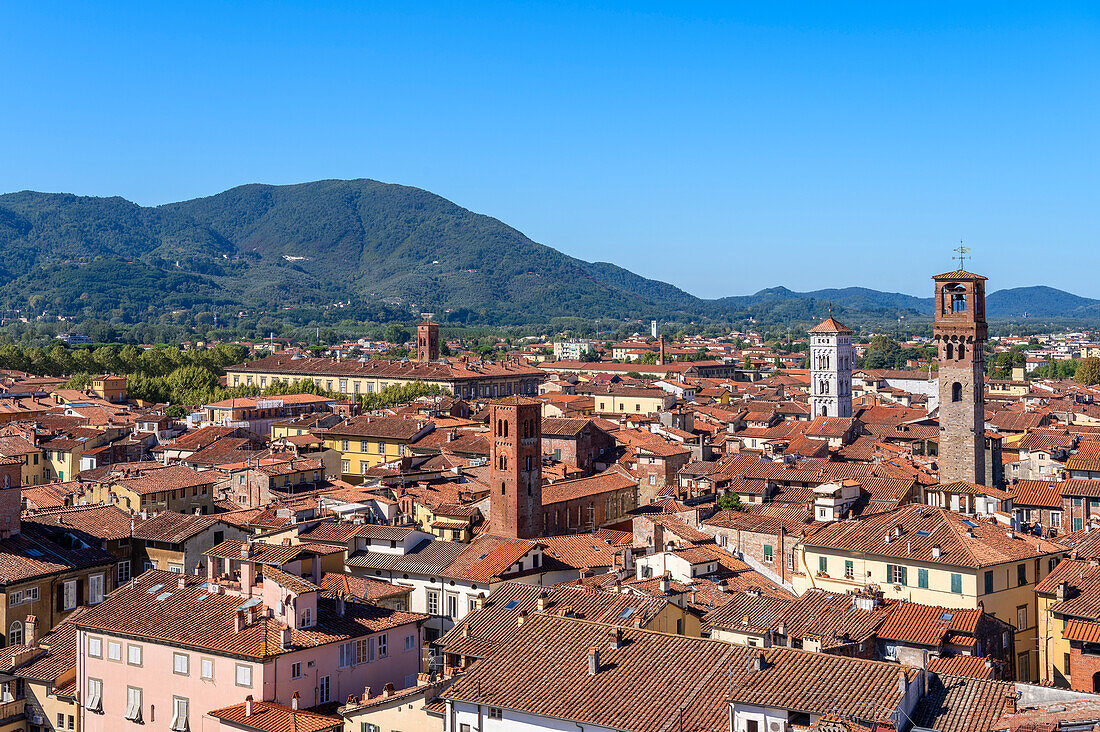Blick vom Torre Guinigi über Lucca, Provinz Lucca, Toscana, Italien