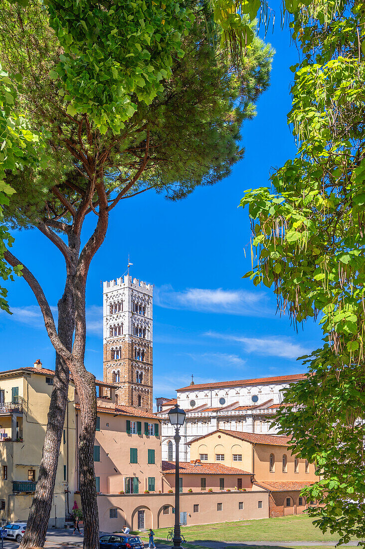 The Cathedral of San Martino in Lucca, Province of Lucca, Toscana, Italy