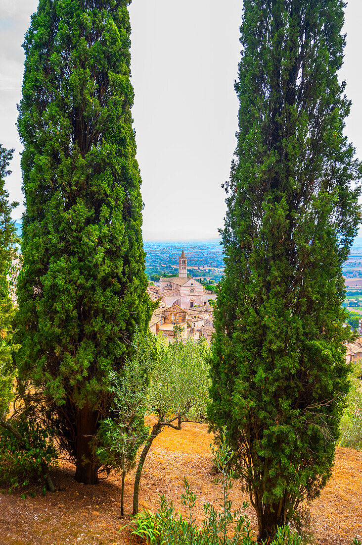 Blick zur Basilica di San Chiara in Assisi, Provinz Perugia, Umbrien, Italien