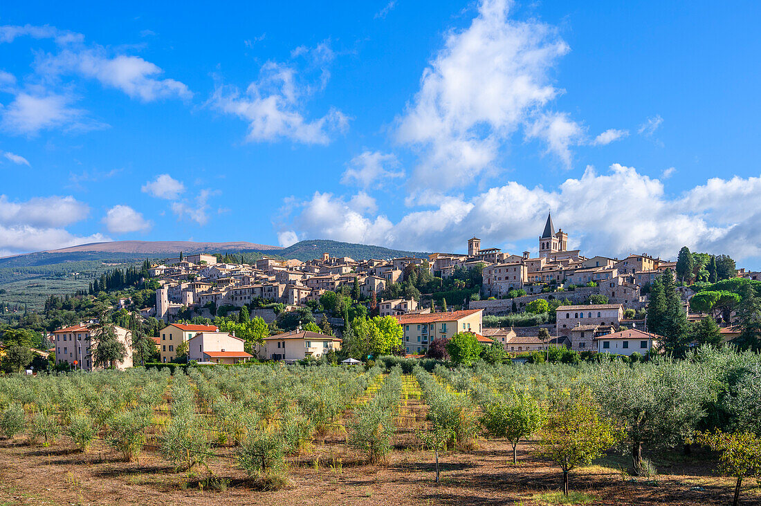 Blick auf Spello, Provinz Perugia, Umbrien, Italien