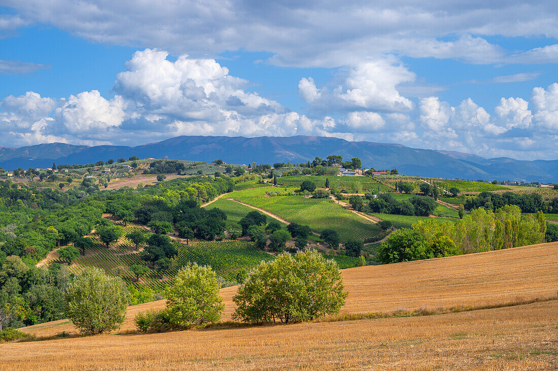 Landschaft bei Gualdo Cattaneo, Provinz Perugia, Umbrien, Italien