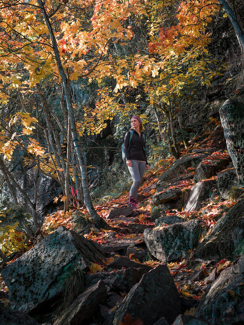 Woman hiking in autumn forest on Skuleberget mountain in Höga Kusten in eastern Sweden