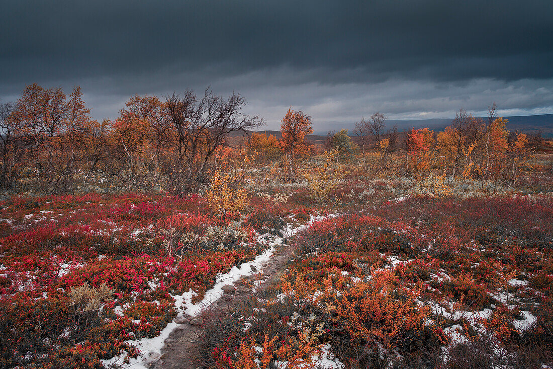 Kungsleden hiking trail in Pieljekaise National Park in autumn with snow in Lapland in Sweden