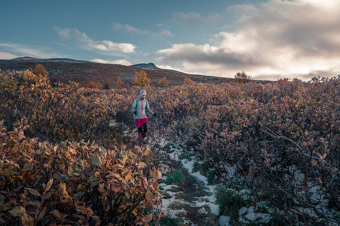 Woman hiking on Kungsleden long-distance hiking trail in Pieljekaise National Park in autumn with snow in Lapland in Sweden