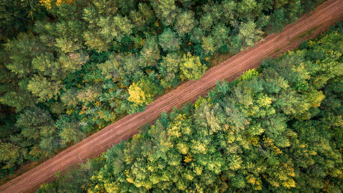 Forest and road at Lake Siljan from above in Dalarna, Sweden