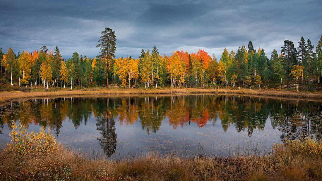 Bunte Bäume mit Herbstlaub spiegeln sich in See in Dalarna, Schweden\n