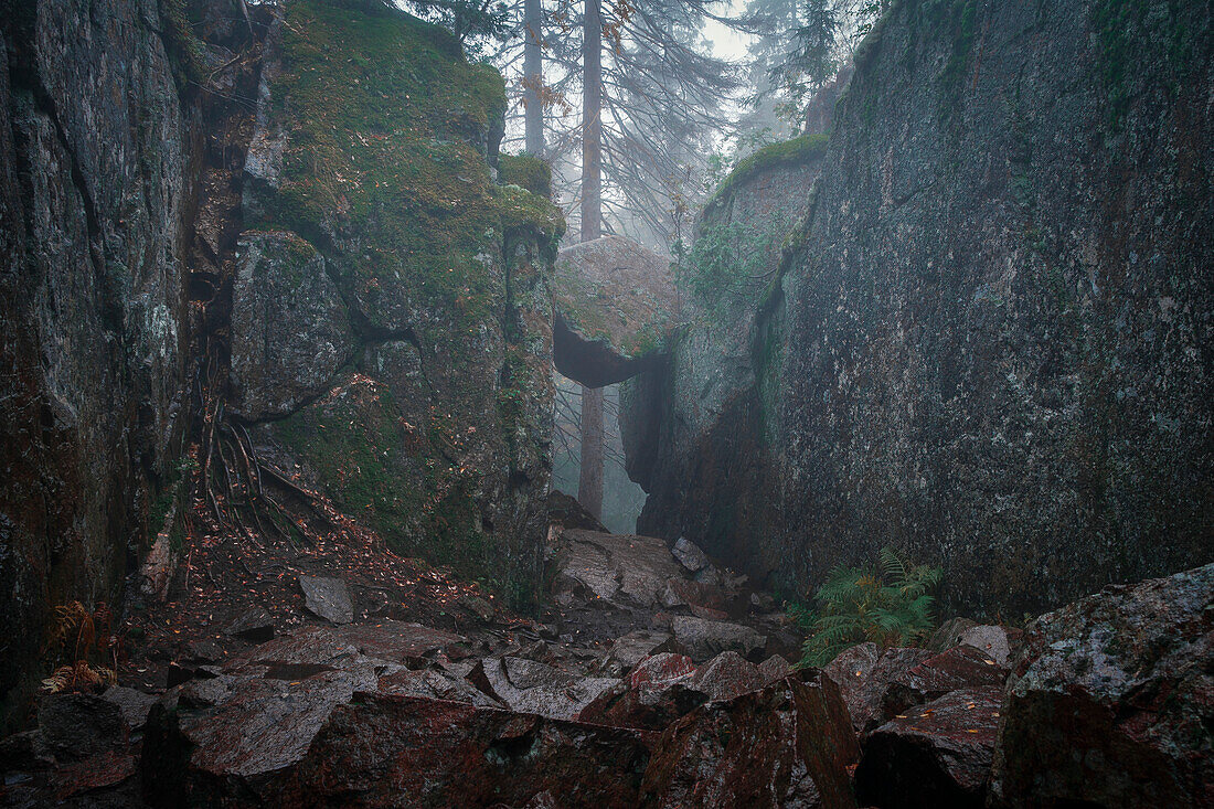 Slåttdalsskrevan canyon in Skuleskogen National Park in eastern Sweden