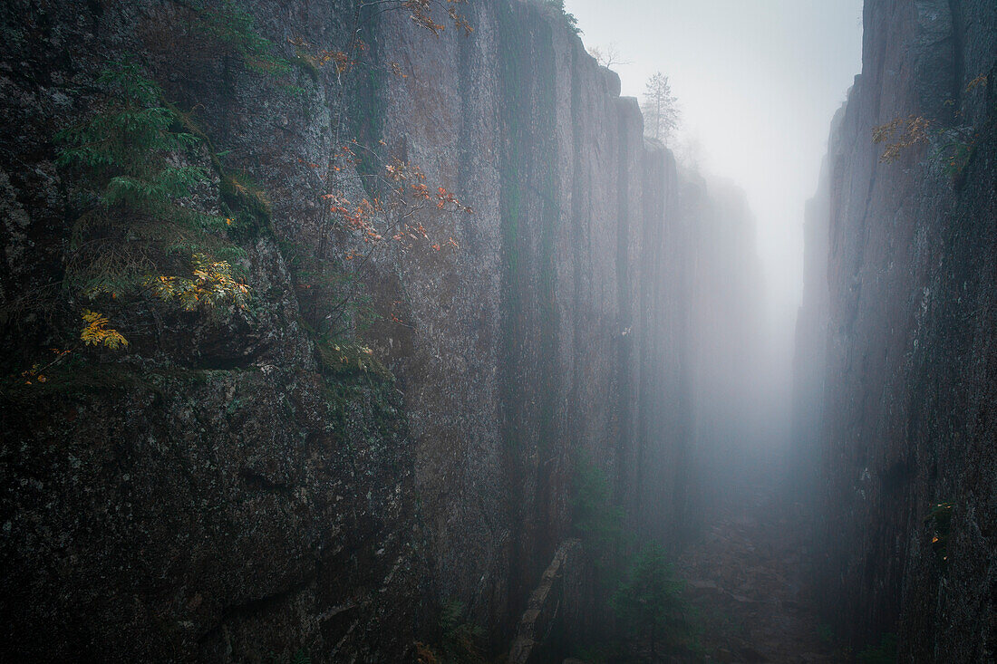 Felsschlucht Slåttdalsskrevan mit Nebel im Skuleskogen Nationalpark im Osten von Schweden