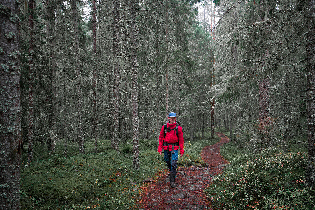 Man hiking through forest in Skuleskogen National Park in eastern Sweden
