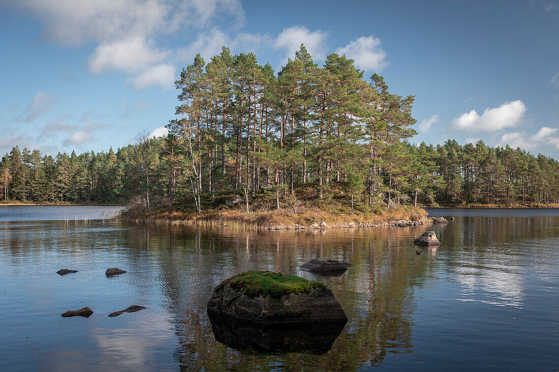 Trees on island in the lake of Tiveden National Park in Sweden