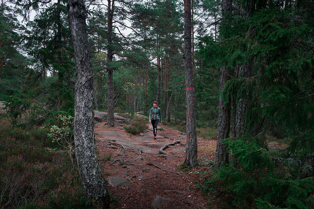 Frau wandert durch Wald im Tyresta Nationalpark in Schweden\n
