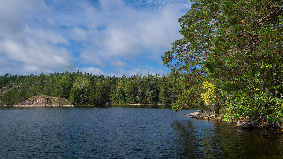 Ufer mit Wald am See Stensjön im Tyresta Nationalpark in Schweden\n