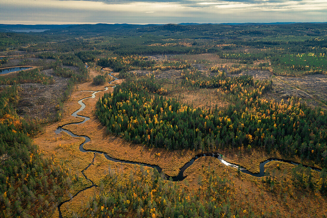 Wilde Landschaft mit Wald und Fluss im Herbst in Jämtland in Schweden von oben\n