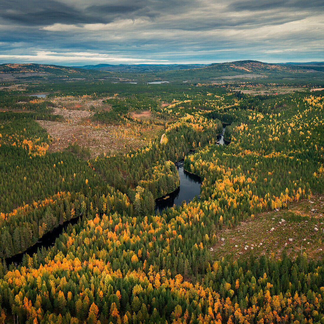 Fluss und Wald im Herbst in Jämtland in Schweden von oben\n