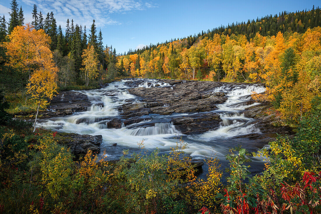 Wasserfall mit Wald im Herbst im Jämtland in Schweden \n