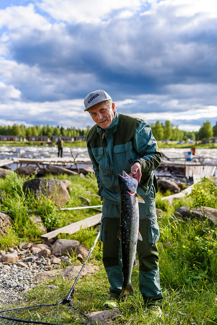 Traditionelles Angeln der Einheimischen mit langen Keschern. Stromschnellen Kukkolankoski am Fluss Torne älv, Tornio, Finnland