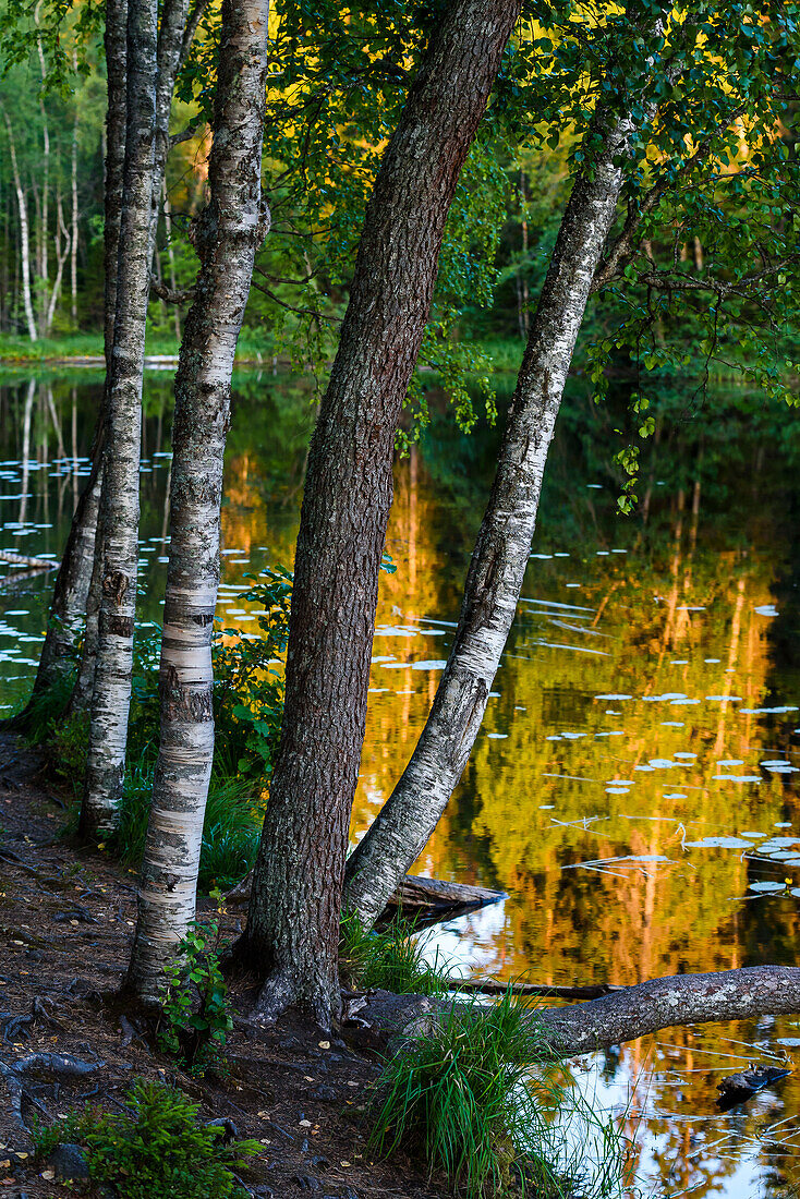 Helvetinjärvi National Park north of Tampere, Finland