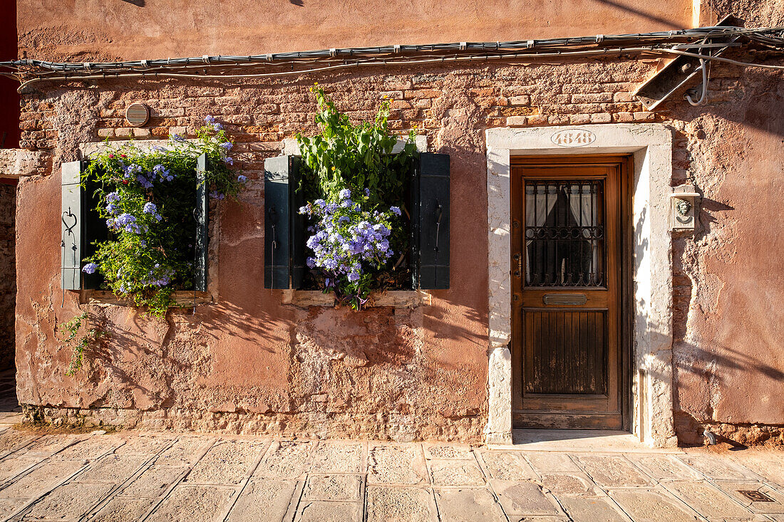 View of an overgrown house entrance in Venice, Veneto, Italy, Europe