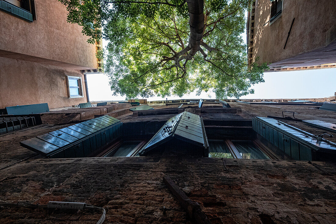 Looking up in a narrow alley in Venice, Veneto, Italy, Europe