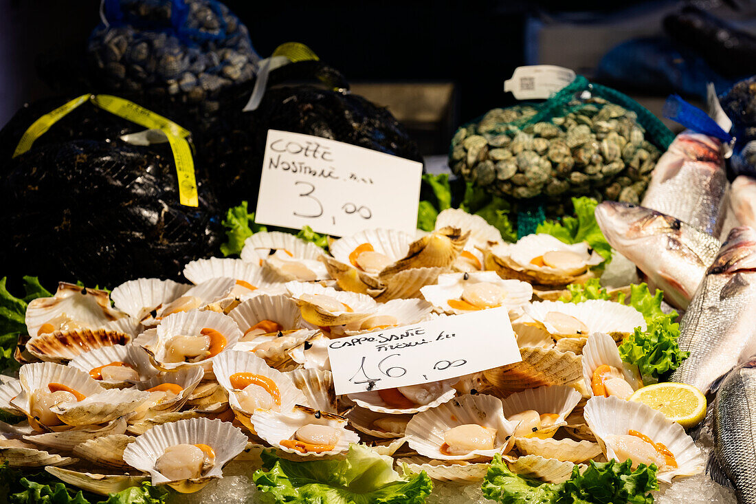 Detail shot of Jacob's mussels on the fish market in Venice, Veneto, Italy, Europe