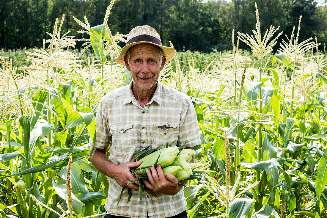 Bauer steht auf einem Feld und hält frisch gepflückten Zuckermais