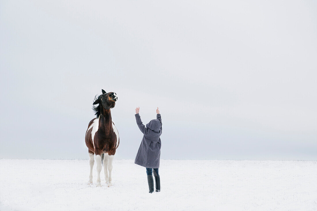 Girl training horse in snow