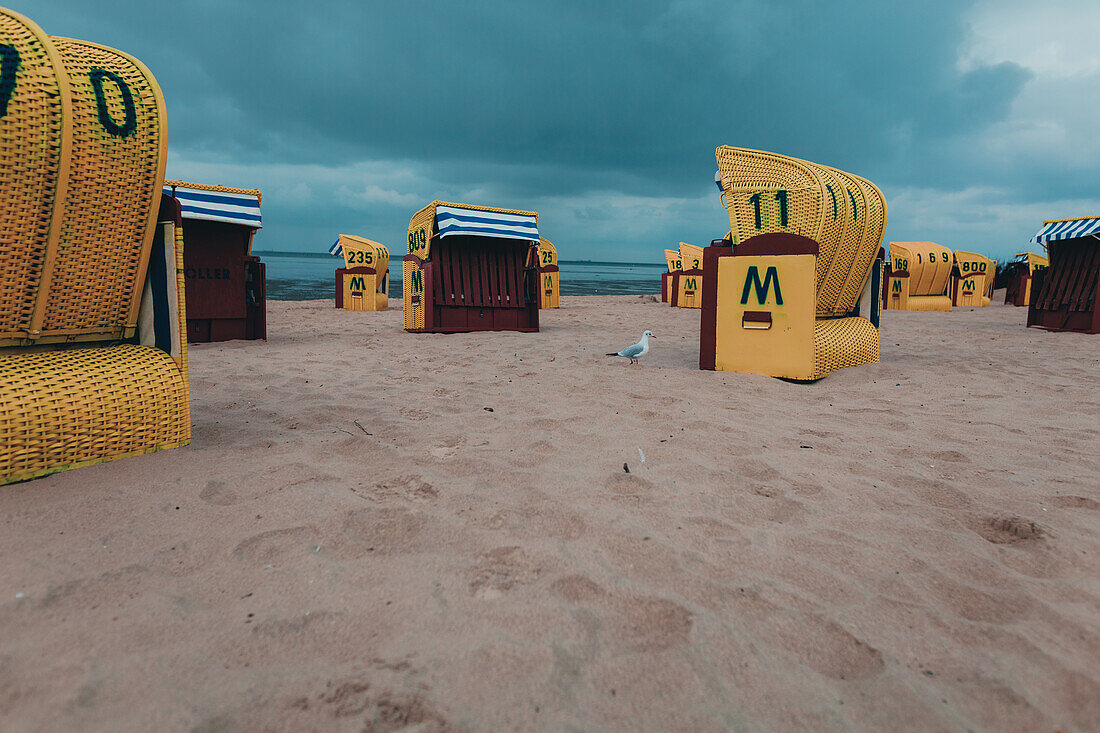 Strandkörbe am Strand, Urlaubsregion Cuxhaven an der Nordsee im Herbst, Niedersachsen, Deutschland