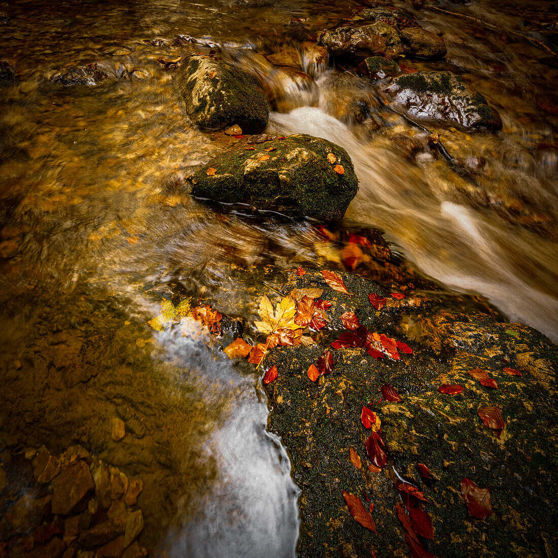 Autumn in the Josefstal, Schliersee, Upper Bavaria, Bavaria, Germany