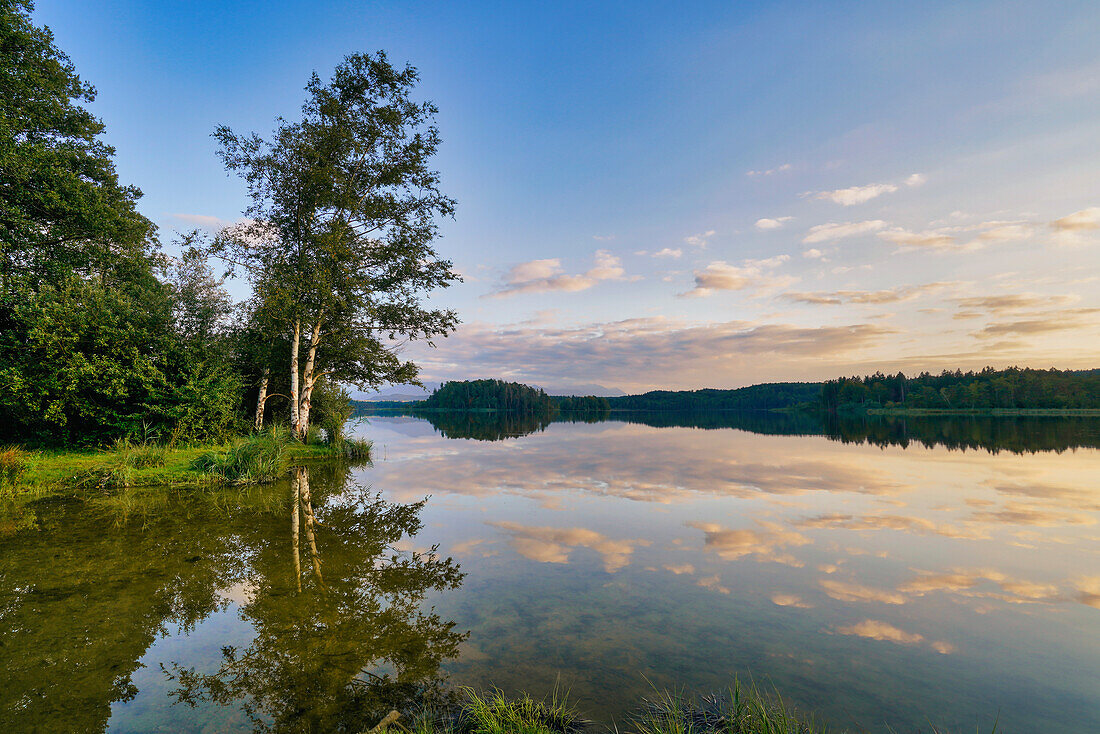 Early autumn evening at the Großer Ostersee, Bavaria, Germany, Europe