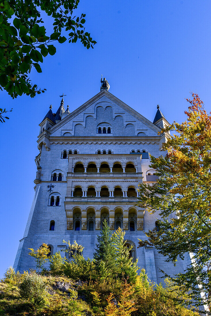 View of Neuschwanstein Castle, Oberallgäu, Bavaria, Germany