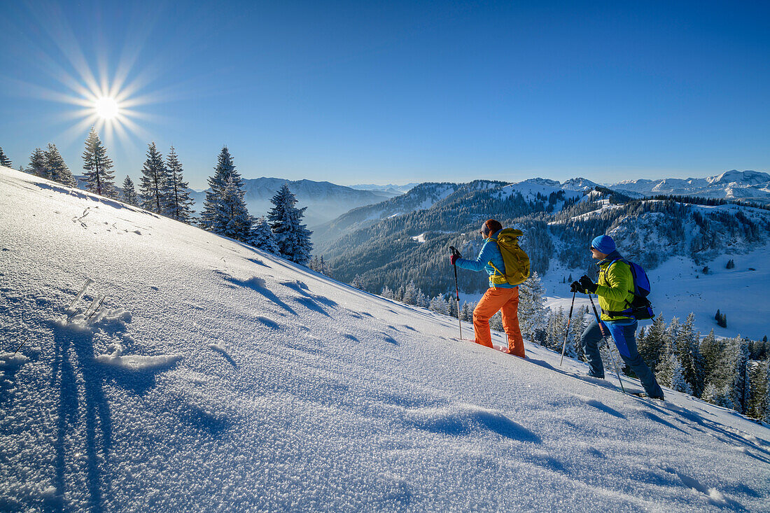 Mann und Frau beim Wandern gehen über verschneiten Berghang, Bayerische Alpen im Hintergrund, Brecherspitze, Spitzinggebiet, Bayerische Alpen, Oberbayern, Bayern, Deutschland