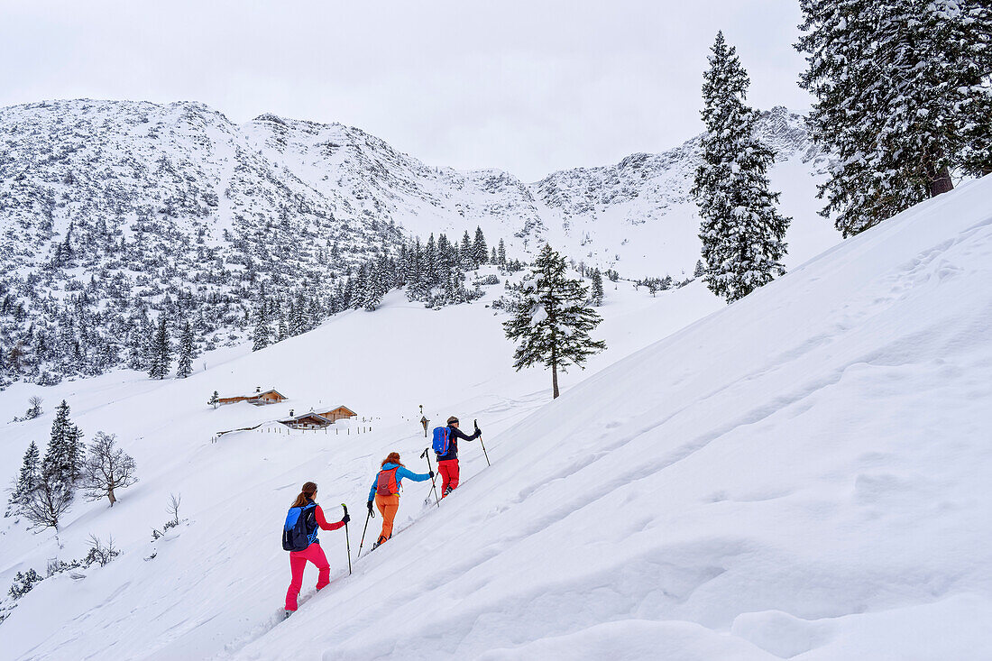Drei Personen auf Skitour steigen zur Heisenplatte auf, Heisenplatte, Spitzinggebiet, Mangfallgebirge, Bayerische Alpen, Oberbayern, Bayern, Deutschland