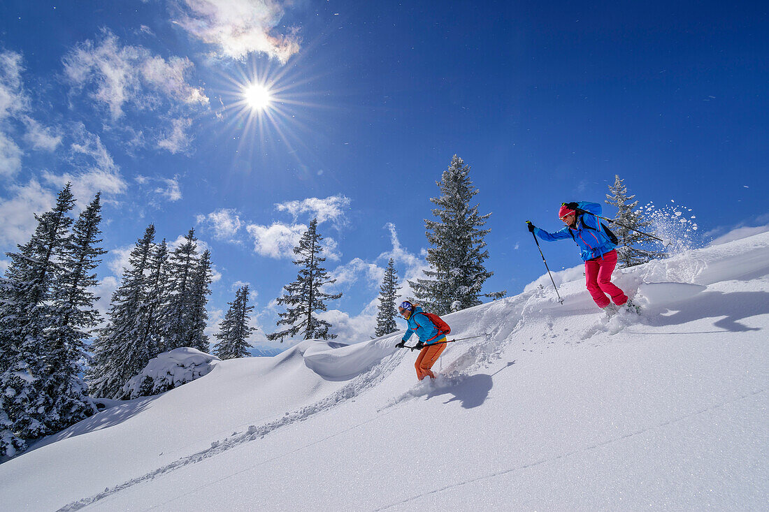 Two women on a ski tour descend through powder snow slope, Tanzeck, Spitzing area, Mangfall Mountains, Bavarian Alps, Upper Bavaria, Bavaria, Germany